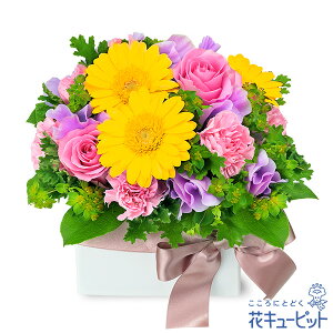 y1̒aԁiXC[gs[jzԃL[sbg j LO  e  FB Fl v[g t[Mtg oƃCG[K[x̃L[uAWgya01-523064