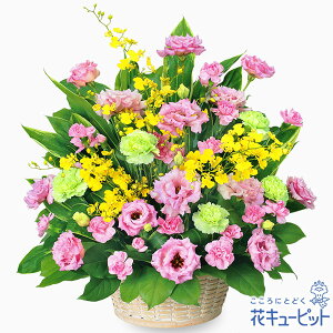 yJXjEJƏjzԃL[sbg  Mtg J ړ] z LO j v[ggRLLẺ؂₩AWgyf00-524022