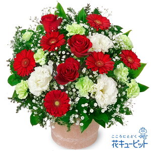 yNX}Xt[zԃL[sbg v[g Mtg j a  LO Xmas oƃK[x̃|bgAWgmm00-524037