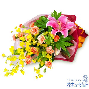 yҗjEjzԃL[sbg  Mtg a j LO  j ̉ԑyv00-524038