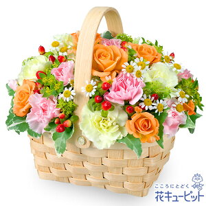 yzԃL[sbg މ@j Cj 邢 O  Mtg v[gIWõEbhoXPbgyk00-524051