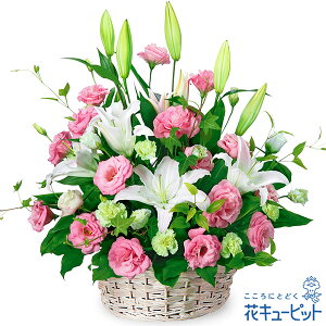 yat[MtgzԃL[sbg  a j LO v[g ގޏ vw c FB Fl ƃgRLLẼAWgya00-524054