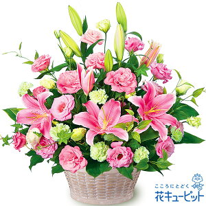 yVzzjzԃL[sbg  Mtg ړ] LO j v[gsNƃgRLLẼAWgyg00-524058