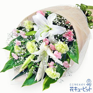 yĚ݂ԁzԃL[sbg   @v @    ~ ފ ~V~ l\  ̉ԑyr00-524066