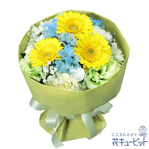 yybgpt[MtgEzԃL[sbg    @v Ԃԑng01-524082