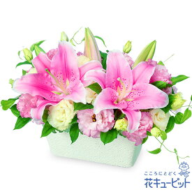【お祝い】花キューピット 敬老の日 誕生日 歓送迎 結婚 還暦 開店開業 卒業入学 記念日 プレゼント ピンクユリのアレンジメントyc00-524086