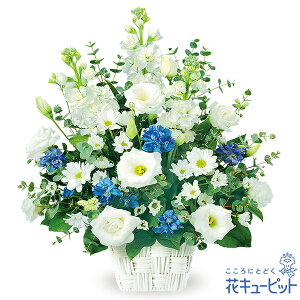 yẺ݂ԁzԃL[sbg   @v @    ~ ފ ~V~ l\  ̃AWgyr00-524088