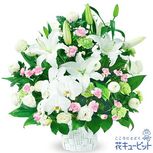 【お供え・お悔やみの花】花キューピット 仏花 供花 法要 法事 仏事 弔事 枕花 お盆 お彼岸 初盆新盆 四十九日 一周忌 お供えのアレンジメントyr00-524094