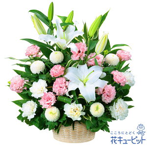 yẺ݂ԁzԃL[sbg   @v @    ~ ފ ~V~ l\  ̃AWgyr00-524097