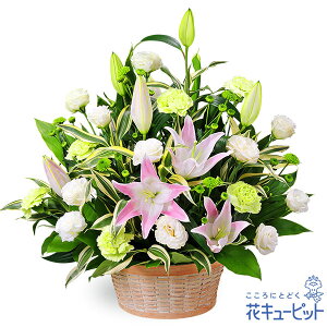 yẺ݂ԁzԃL[sbg   @v @    ~ ފ ~V~ l\  ̃AWgyr00-524098