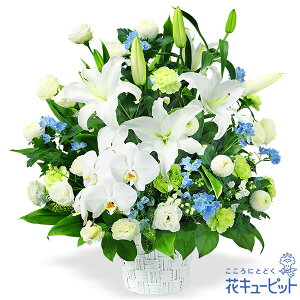 yẺ݂ԁzԃL[sbg   @v @    ~ ފ ~V~ l\  ̃AWgyr00-524104