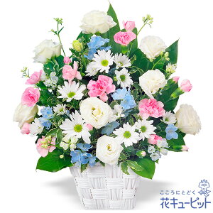 yẺ݂ԁzԃL[sbg   @v @    ~ ފ ~V~ l\  ̃AWgyr00-524107