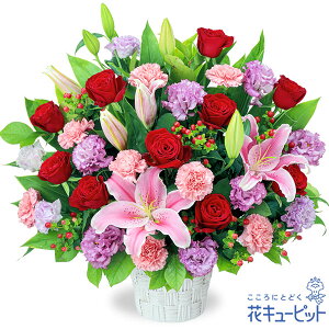 yҗjEjzԃL[sbg  Mtg a j LO  j sNƃbh̉؂₩AWgyv00-524143