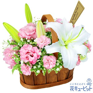 【結婚祝い】花キューピット 花 ギフト お祝い 記念日 プレゼント 夫婦 祖父祖母 ジューンブライド ブライダル 白ユリのハーモニーバスケットyd00-524188