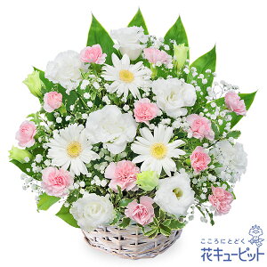 yẺ݂ԁzԃL[sbg   @v @    ~ ފ ~V~ l\  ̃AWgyr00-524190