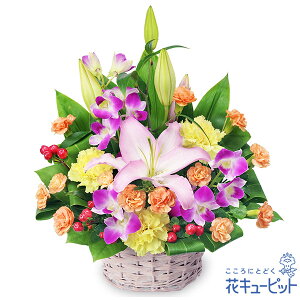 yzԃL[sbg  2026N  VN ꐳ N A N  N }t ̍؂ȃ~bNXAWgpp00-524192