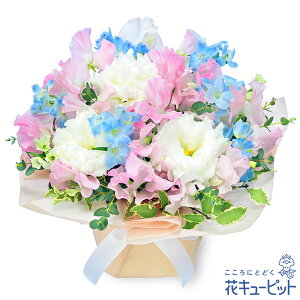 y1̒aԁiXC[gs[jzԃL[sbg j LO  e  FB Fl v[g t[Mtg 1̃o[Xf[AWgya01-524218