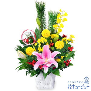 yzԃL[sbg  2026N  VN ꐳ N A N  N }t ̃AWgpp00-524228