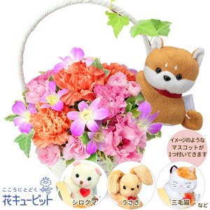 yybgpt[MtgEjzԃL[sbg  j LO a } v[g ft@̃}XRbgtoXPbgnf01-524230