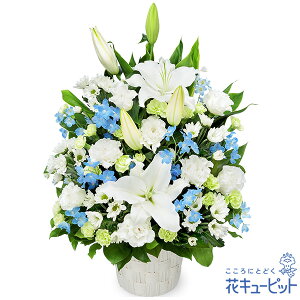 yẺ݂ԁzԃL[sbg   @v @    ~ ފ ~V~ l\  ̃AWgyr00-524255