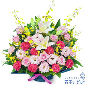 yVzzjzԃL[sbg  Mtg ړ] LO j v[gƃIVWE̍؂ȃAWgyg00-524260