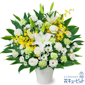 yẺ݂ԁzԃL[sbg   @v @    ~ ފ ~V~ l\  ̃AWgyr00-524271