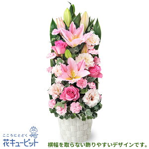 yVzzjzԃL[sbg  Mtg ړ] LO j v[gsÑXȃAWgyg00-524272