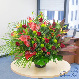 【お祝い】花キューピット 敬老の日 誕生日 歓送迎 結婚 還暦 開店開業 卒業入学 記念日 プレゼント レッドの華やかアレンジメントyc00-524301