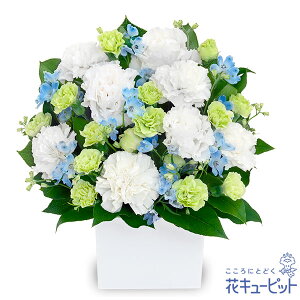 yẺ݂ԁzԃL[sbg   @v @    ~ ފ ~V~ l\  ̃AWgyr00-524307