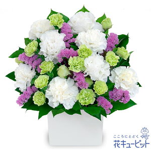 yẺ݂ԁzԃL[sbg   @v @    ~ ފ ~V~ l\  ̃AWgyr00-524309