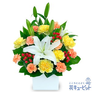 zEJXjEJƏj  Mtg J ړ] z LO j v[gԃL[sbg̔ƃIW̃AWgyf00-524319