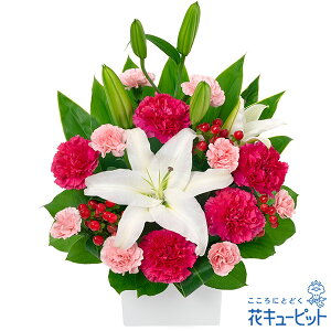 yzԃL[sbg  2026N  VN ꐳ N A N  N }t ƃsÑAWgpp00-524320