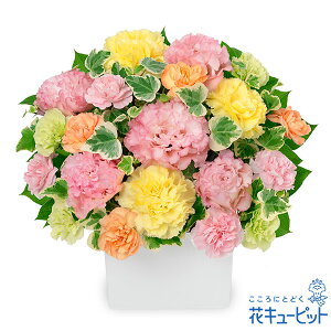 yzԃL[sbg މ@j Cj 邢 O  Mtg v[gDF̃L[uAWgiJtjyk00-524323