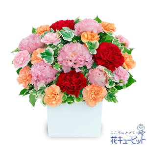 yސEjzԃL[sbg  Mtg j  LO v[gDF̃L[uAWgibhjyi00-524324