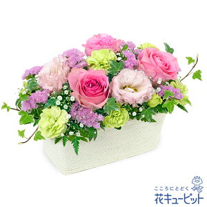 yzԃL[sbg މ@j Cj 邢 O  Mtg v[gsNõ~bNXAWgyk00-524325