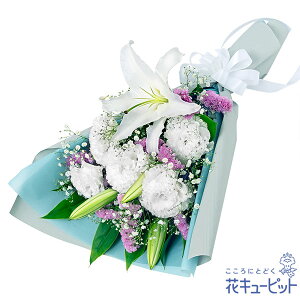 yĚ݂ԁzԃL[sbg   @v @    ~ ފ ~V~ l\  ̉ԑyr00-524331
