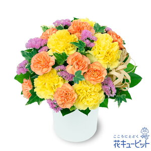 yat[MtgzԃL[sbg  a j LO v[g ގޏ vw c FB Fl r^~J[̃i`ȃAWgya00-524341