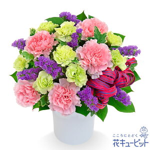 yjzԃL[sbg  Mtg j LO v[g vw cc W[uCh uC_ sNƎ̃i`ȃAWgyd00-524344