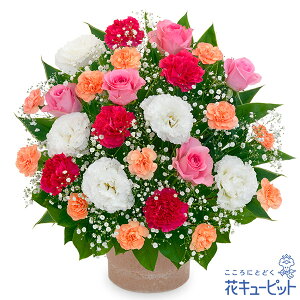 yLOzԃL[sbg  Mtg j v[g vw c N ԍ ⍥ sNoƃIW̃AWgyb00-524354