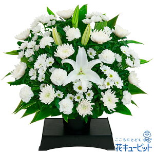 yẺ݂ԁzԃL[sbg   @v @    ~ ފ ~V~ l\  ̃AWgiԑtjyr00-524355