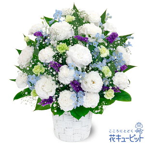 yẺ݂ԁzԃL[sbg   @v @    ~ ފ ~V~ l\  ̃AWgyr00-524359