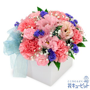 yzԃL[sbg މ@j Cj 邢 O  Mtg v[ggRLLȆu₩ȃL[uAWgyk00-524393