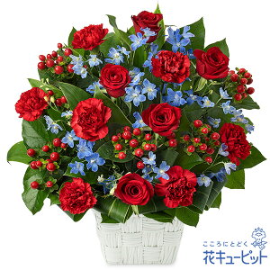 yJXjEJƏjzԃL[sbg  Mtg J ړ] z LO j v[gԃõAWgyf00-524396