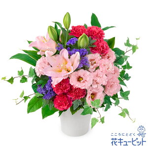 yzԃL[sbg  2026N  VN ꐳ N A N  N }t sÑi`ȃAWgpp00-524400