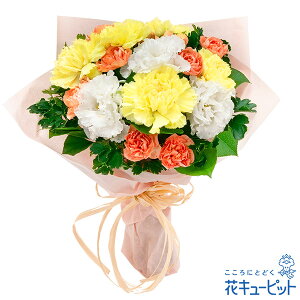 yސEjzԃL[sbg  Mtg j  LO v[gCG[J[l[V̉ԑyi00-524403