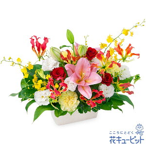 yjzԃL[sbg hV̓ a }  җ JXJ Ɠw LO v[g ƃOIT̍؂ȃAWgyc00-524408