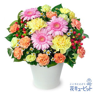 yzԃL[sbg މ@j Cj 邢 O  Mtg v[gsNK[x̃~bNXAWgyk00-524415