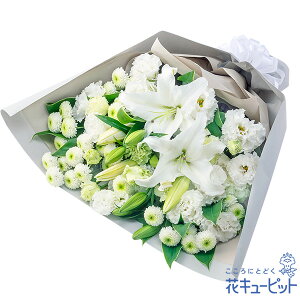 yĤފ݁zԃL[sbg   @v @    ފ l\  ̉ԑnd00-524422