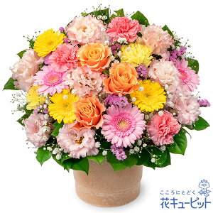 y11̒aԁiK[xjzԃL[sbg a j LO v[g   Mtg K[x̃JtȃAWgya11-524426