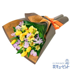 y1̒aԁiXC[gs[jzԃL[sbg j LO  e  FB Fl v[g t[Mtg `[bvƃXC[gs[̃VbNȉԑya01-525003